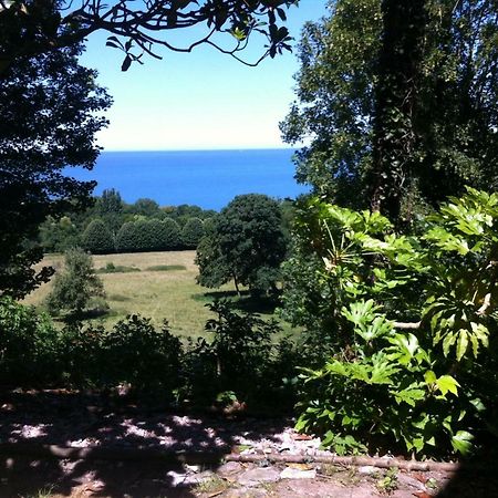 Spacieux Appartement Jardin, Bbq, Vue Sur Mer, Trouville Eksteriør billede