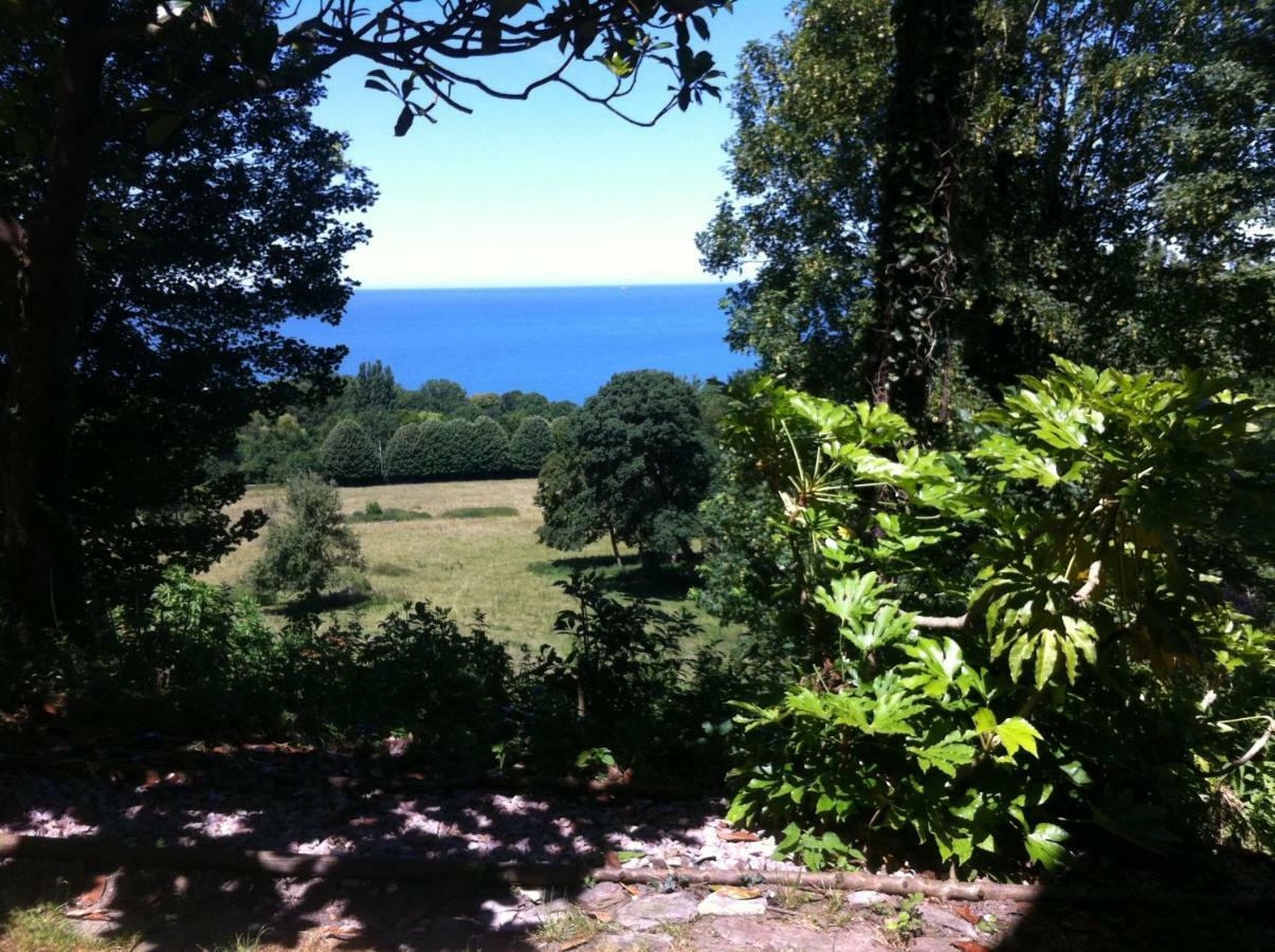 Spacieux Appartement Jardin, Bbq, Vue Sur Mer, Trouville Eksteriør billede